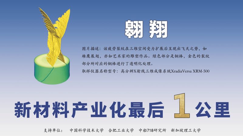 防腐剂定制加工：资质要求与合规要点
