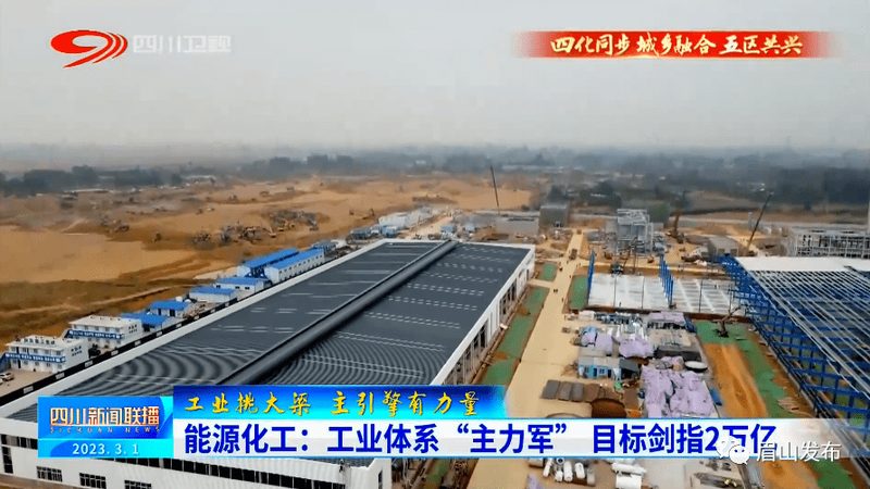 食品工业添加剂：揭秘品牌排名背后的秘密
